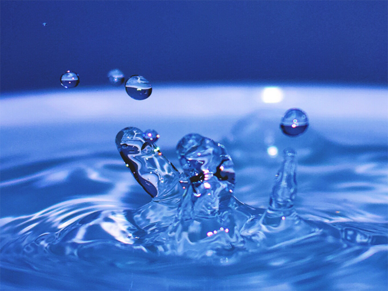 水中总大肠菌群检测方法