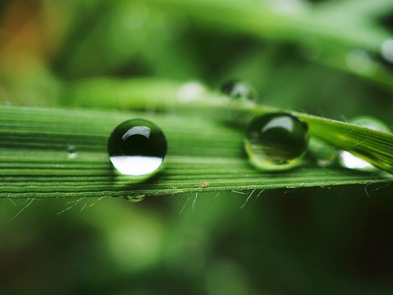 水质TOC检测的重要性