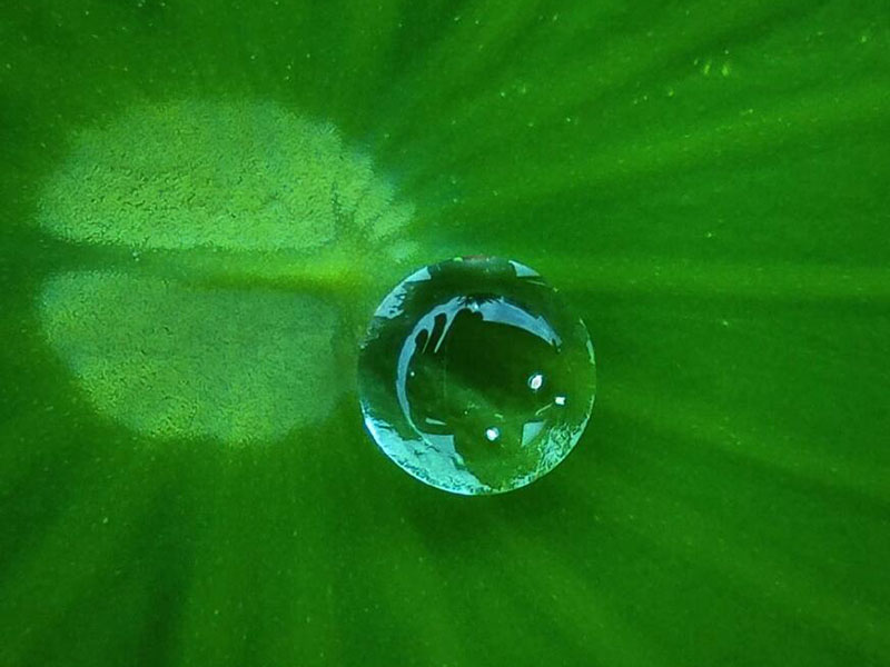溶解氧在线监测仪常见故障处理方法