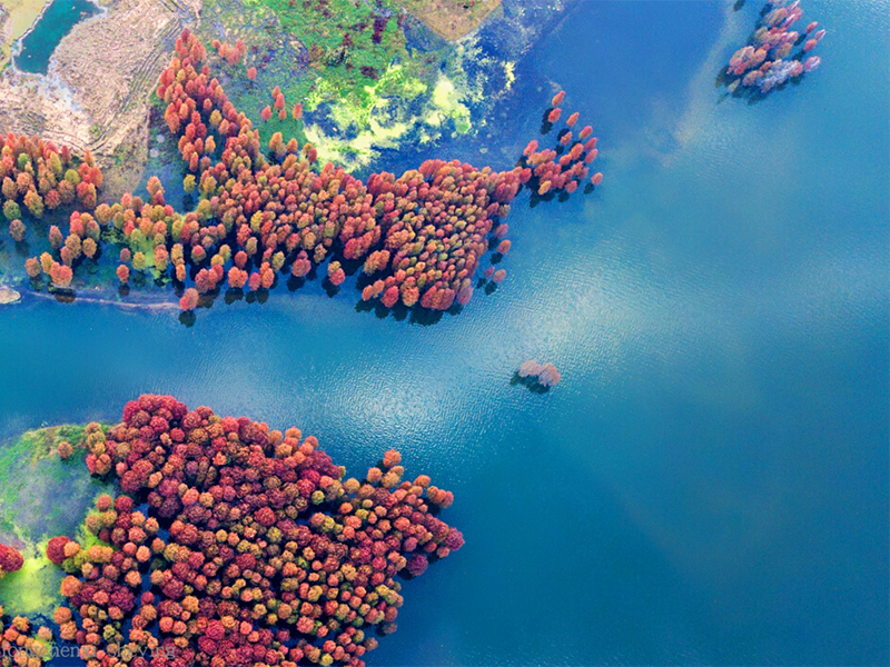 【科普】氨氮、硝酸盐氮、亚硝酸盐氮、凯氏氮分别是什么