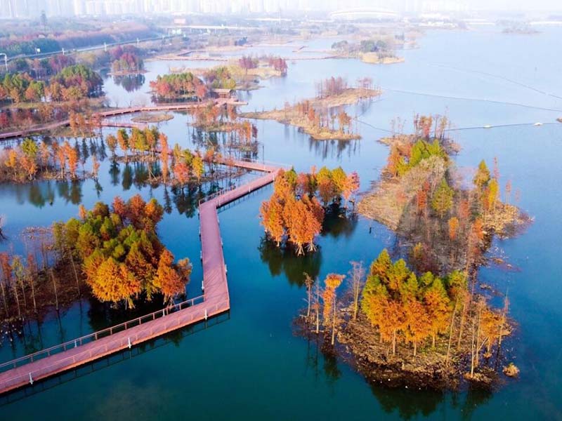 水质检测仪类型与基本工作原理