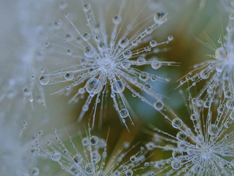 水质检测仪使用标准流程
