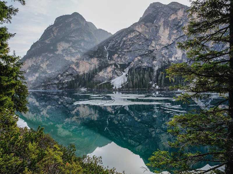 在线水质叶绿素检测仪应用